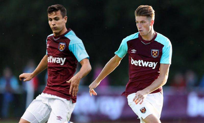 方案和坚定 方案和坚定